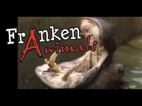 franken animals33