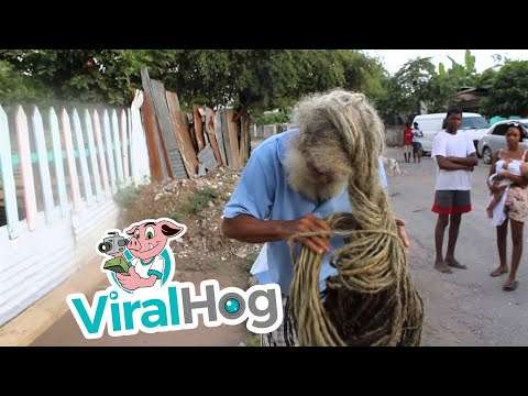 Rastaman mit 40 Jahre langen Dreadlocks rasta mann