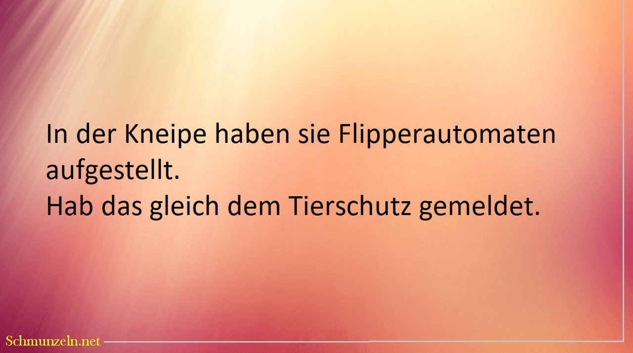 flipper tierschutz