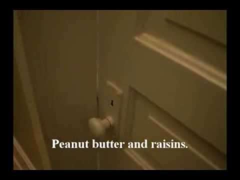 Potty Talk - 3-jähriger denkt über seine Ernährung auf der Toilette nach toiletten gespraeche