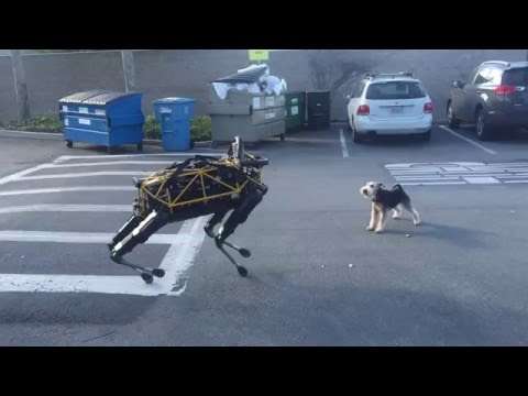 hund robohund