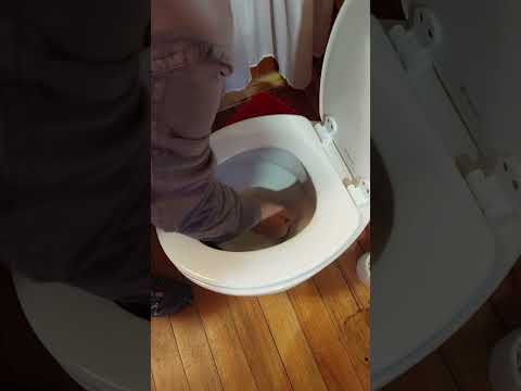 toilettenwasser gefrohren