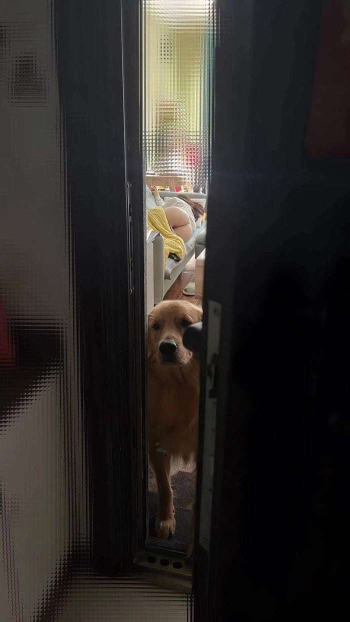 Funny Pics und lustige Bilder + Picdump #091 Picdump 091 10