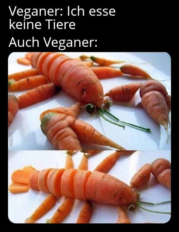 Funny Pics und lustige Bilder + Picdump #091 Picdump 091 24