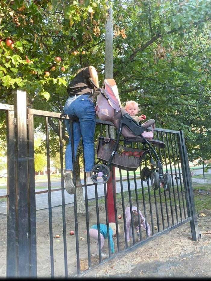 Funny Pics und lustige Bilder + Picdump #093 Picdump 093 13