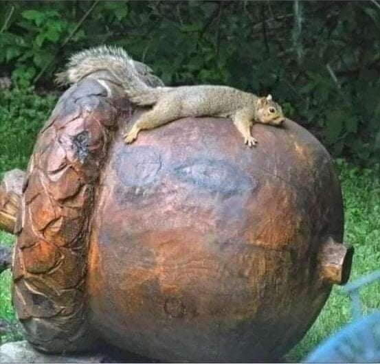 Funny Pics und lustige Bilder + Picdump #093 Picdump 093 14