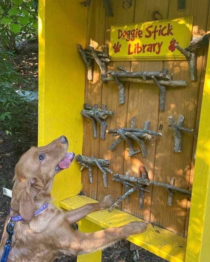 Funny Pics und lustige Bilder + Picdump #093 Picdump 093 15