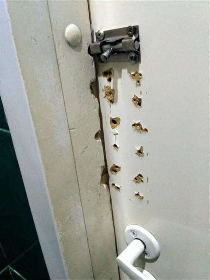 Funny Pics und lustige Bilder + Picdump #094 Picdump 094 20