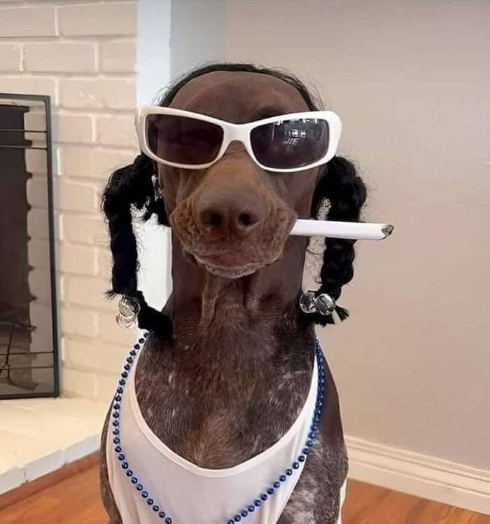 Funny Pics und lustige Bilder + Picdump #102 Picdump 102 4