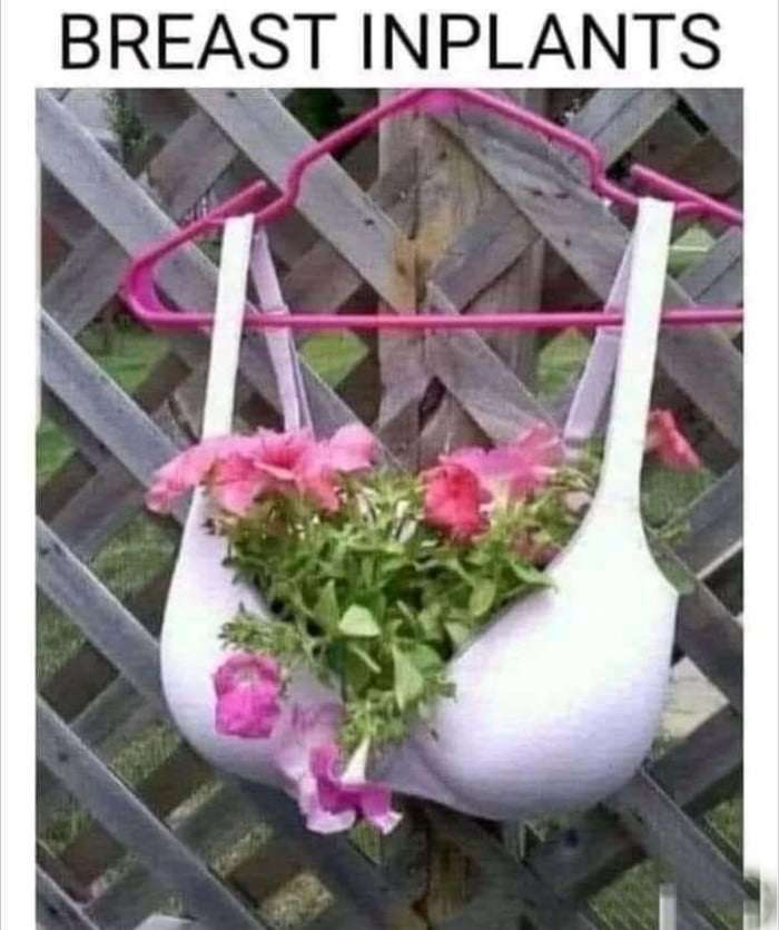 Funny Pics und lustige Bilder + Picdump #102 Picdump 102 9