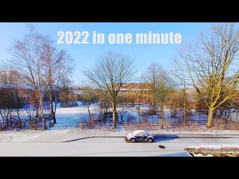 Das Jahr 2022 in einer Minute - 365 Tage Zeitraffer baum jahr