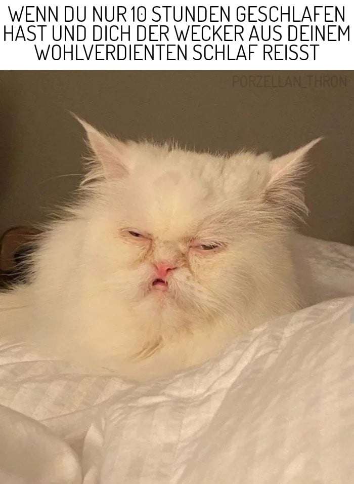 Picdump 121 7