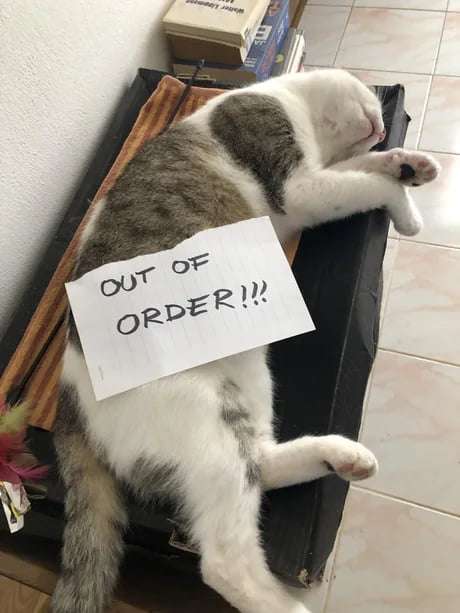 Picdump 121 9