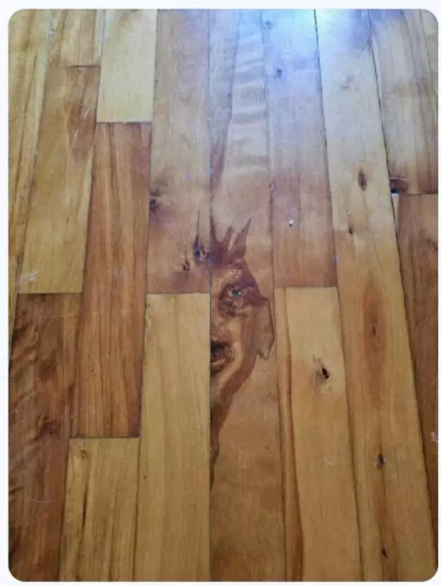 Picdump 136 20