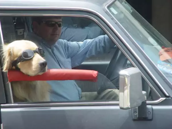 Sammlung an lustigen Meme #141 Picdump 141 22