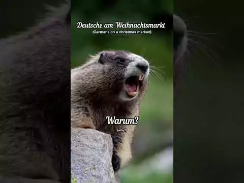 weihnachtsmarkt deutsche