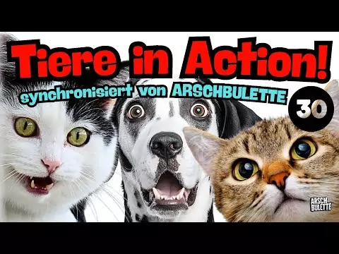 TIERE IN ACTION 30 - ARSCHBULETTE tiere reden