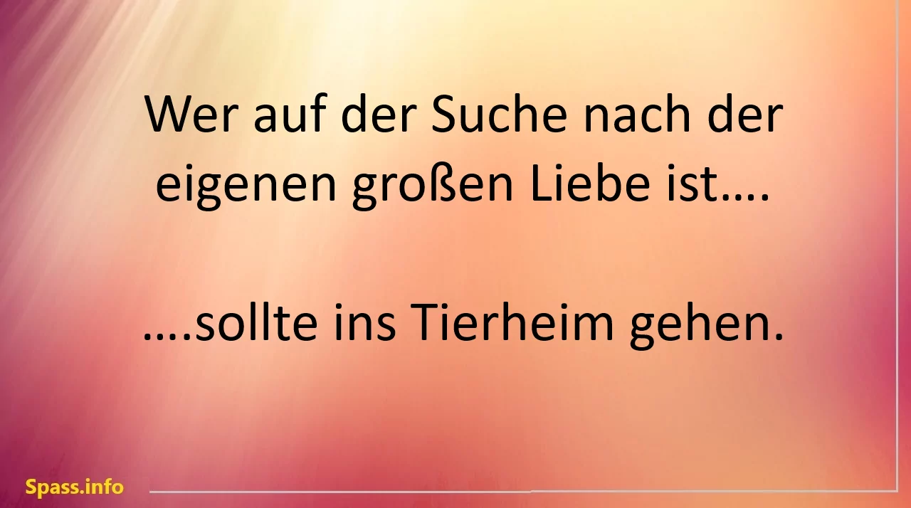 liebe suchen