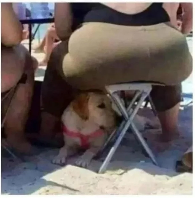 Picdump 150 18