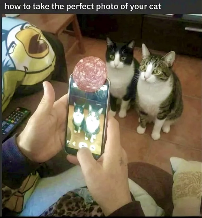 Picdump 150 8