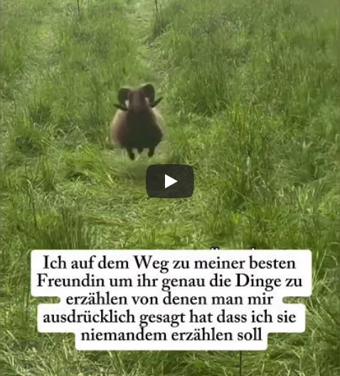 freundin-schnell