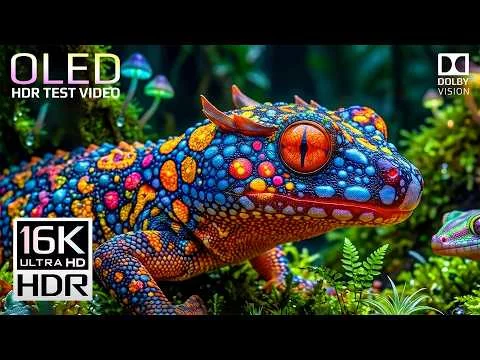 oled-test