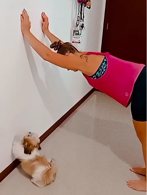 Tiere, die Sachen tun, die man so nie erwartet hätte tier-sachen
