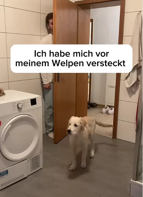 verstecken-spielen