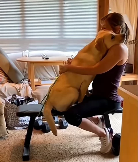 hund-liebe