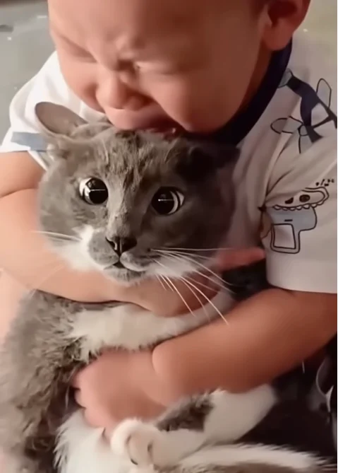 katze-mensch