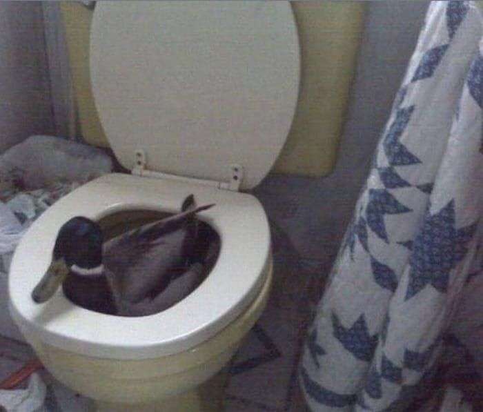 Spass.info – Picdump #011 Picdump 011 14